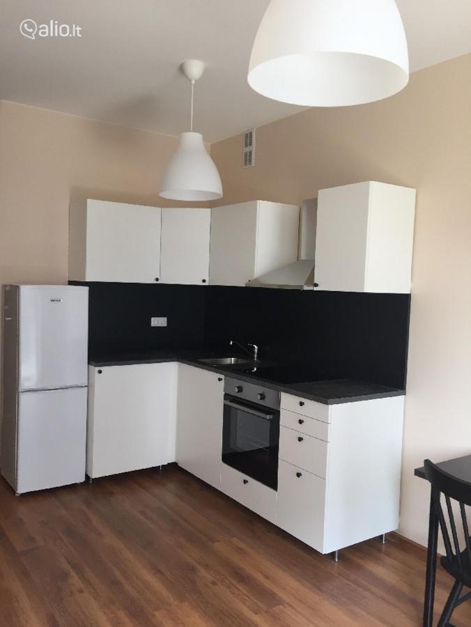 Close To Panorama Center Apartment Self Check-In Garage Free VNO Exteriör bild